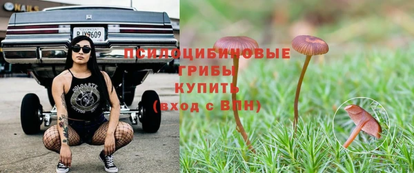 скорость mdpv Богородск
