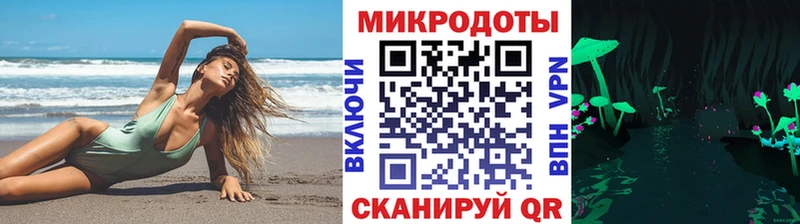 Купить закладки  Нариманов  Псилоцибиновые грибы GOLDEN TEACHER 